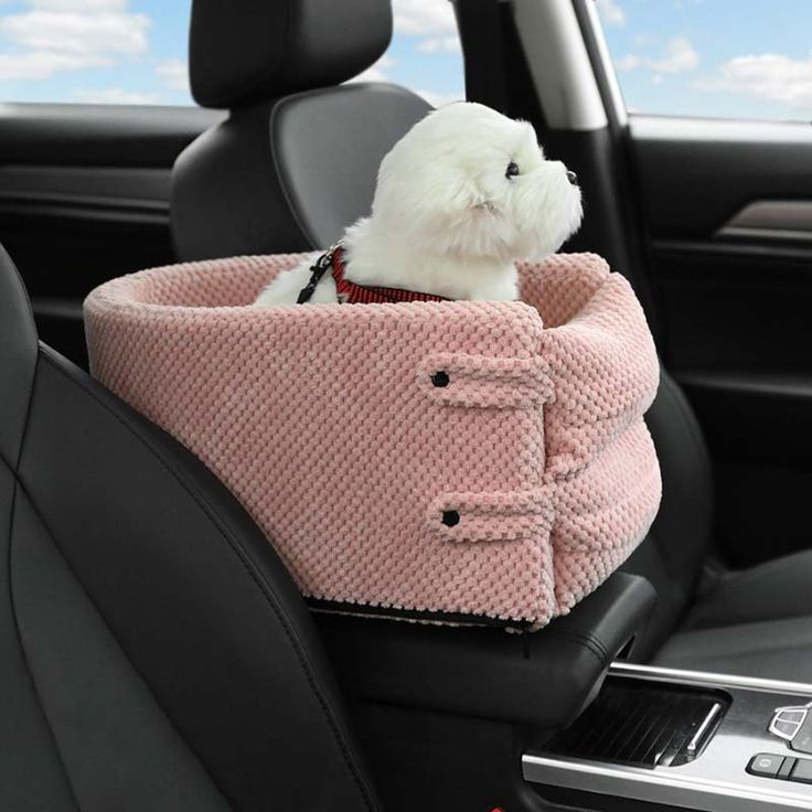 Pet Travel & Outdoor Gear