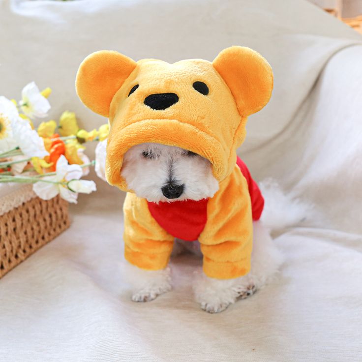 Pet Apparel & Accessories
