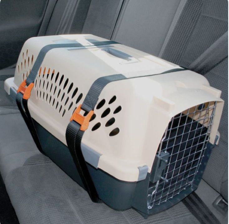 Pet Grooming Essentials