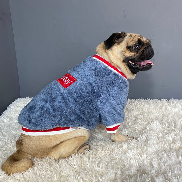 adorable knit pet sweater