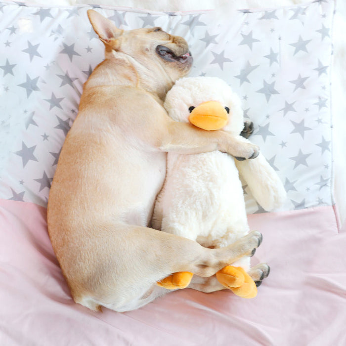 Dog Plush Toys